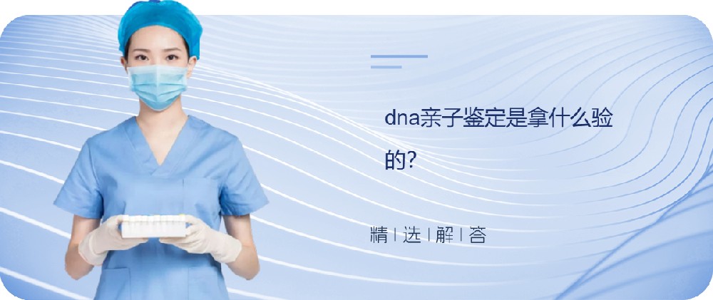 dna亲子鉴定是拿什么验的？