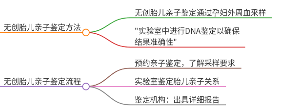 无创胎儿亲子鉴定攻略：流程、费用、原理、报告结果查看